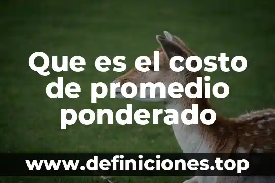 Qué es método de promedio ponderado libro 3 Que es el costo de promedio ponderado