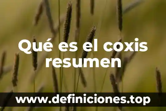Que es el minka resumen 3 Qué es el coxis resumen