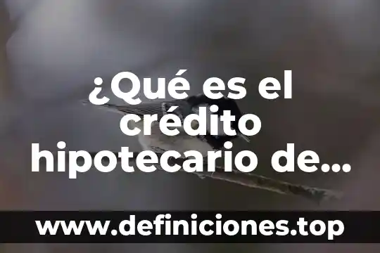 Que es el valor de reposicion de un credito hipotecario 8 ¿Qué es el crédito hipotecario de INFONAVIT?