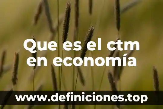 Qué es el piso en economía 7 Que es el ctm en economía