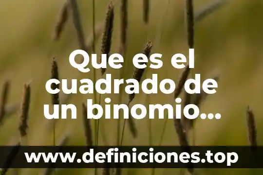 Binomio conjugados que es y ejemplos 3 Que es el cuadrado de un binomio ejemplos