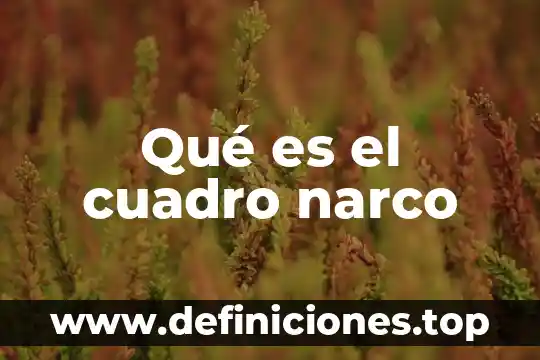 Qué es el cuadro narco