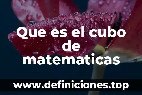 Que es un valor de uso directo 8 Que es el cubo de matematicas