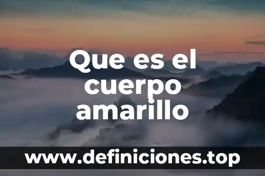 Que es codigo amarillo en salud 3 Que es el cuerpo amarillo