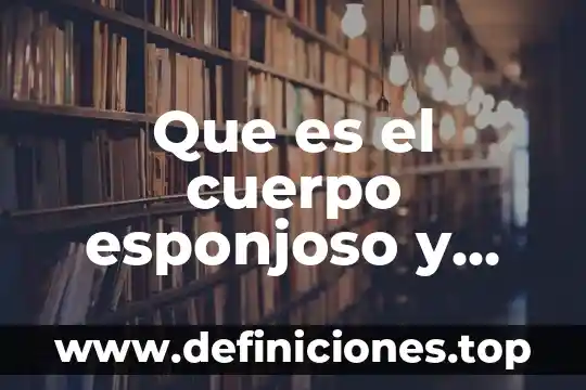 Que es el inali y cual es su funcion 6 Que es el cuerpo esponjoso y cual es su funcion