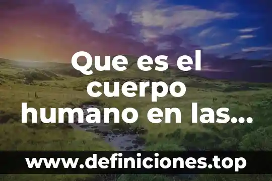 Que es el cuerpo humano en las artes