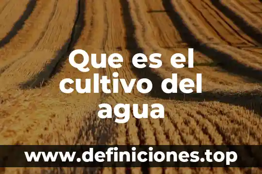 Que es el cultivo del agua