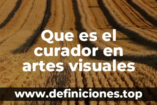 Que es el curador en artes visuales