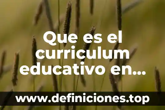 Qué es una tarjeta de curriculum digital 3 Que es el curriculum educativo en mexico
