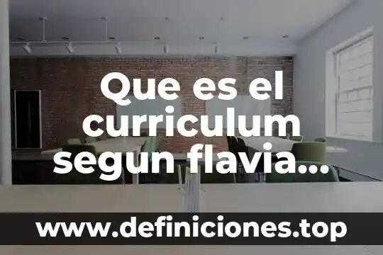 Que es el curriculum segun flavia terigi