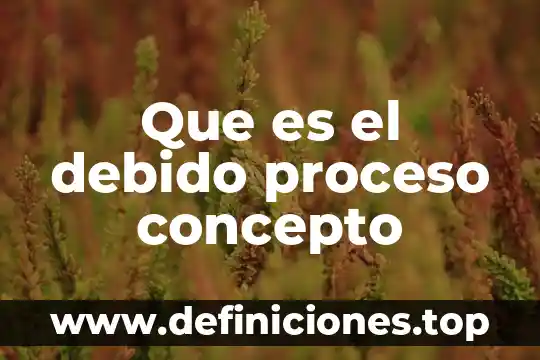 Que es el debido proceso concepto