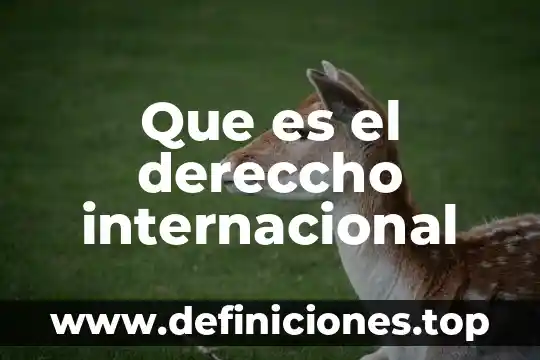 Que es el español internacional 5 Que es el dereccho internacional