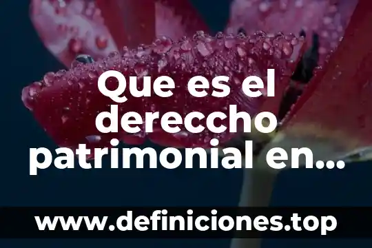 Que es litis en derecho romano 3 Que es el dereccho patrimonial en derecho romano