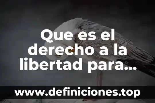 Que es el derecho a la libertad para niños