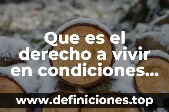 Que es el arte de vivir 3 Que es el derecho a vivir en condiciones de bienestar