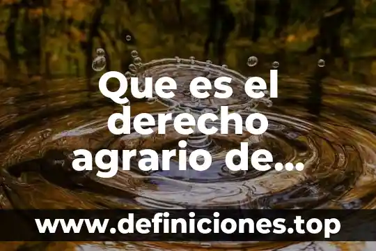 Que es la sucesion en derecho agrario 7 Que es el derecho agrario de familia