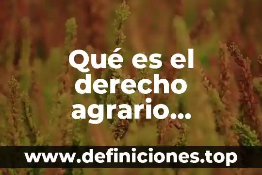 Que es costumbre en derecho ejemplo 4 Qué es el derecho agrario integral