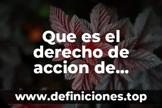 Qué es el amparo administrativo en México 7 Que es el derecho de accion de amparo