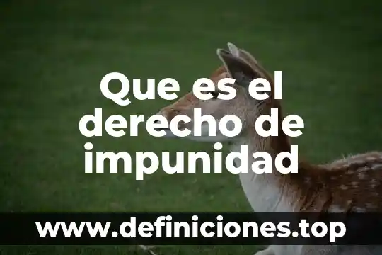 Que es derecho en cuestion de logica 7 Que es el derecho de impunidad