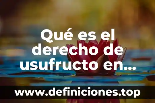 Qué es la Senasica en México 8 Qué es el derecho de usufructo en México