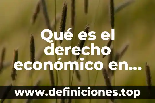 Que es vocacionamiento economico 6 Qué es el derecho económico en Bolivia