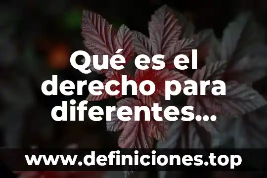 Qué es el derecho para diferentes autores