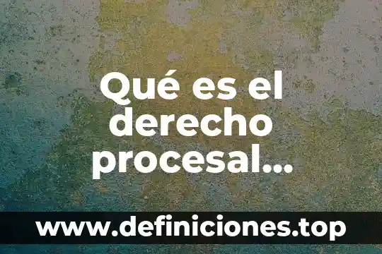 Qué es el derecho procesal ejemplos