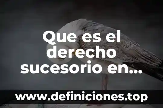 Que es un juicio sucesorio en mexico 3 Que es el derecho sucesorio en mexico