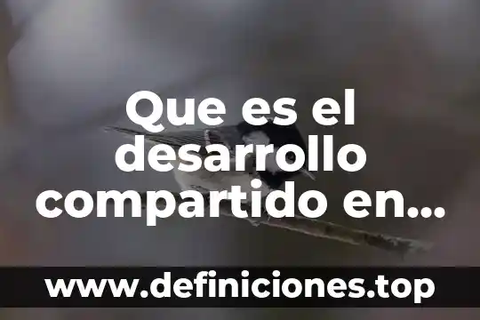 Que es la memoria virtual en so de tiempo compartido 5 Que es el desarrollo compartido en mexico