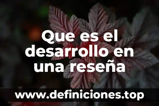 Qué es una reseña y cuál es su objetivo 3 Que es el desarrollo en una reseña