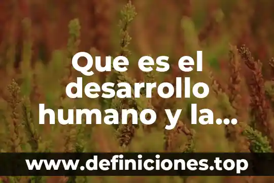 Que es el factor humano en una empresa 3 Que es el desarrollo humano y la sexualidad