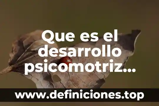 Actividades sobre que es observacion en preescolar 4 Que es el desarrollo psicomotriz preescolar