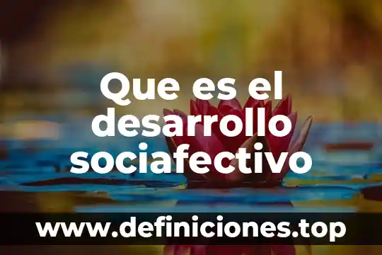 Que es desarrollo de la empatia 6 Que es el desarrollo sociafectivo