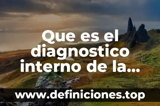 Que es el neocolonialismo interno 4 Que es el diagnostico interno de la empresa