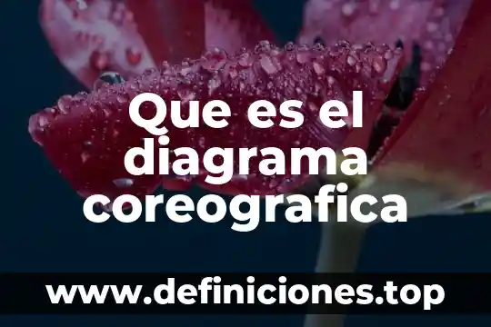 Que es unh diagrama de flujo 4 Que es el diagrama coreografica