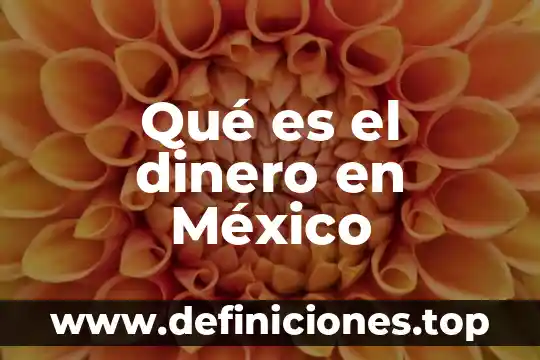 Qué es el dinero en México