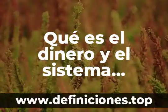 Qué es el dinero y el sistema bancario