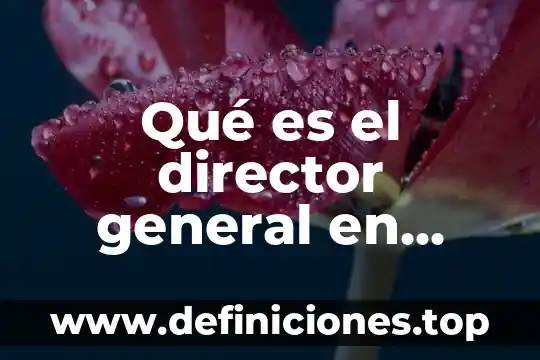 Fuerza general que es 4 Qué es el director general en municipal