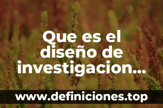 Que es el diseño de investigacion segun marradi
