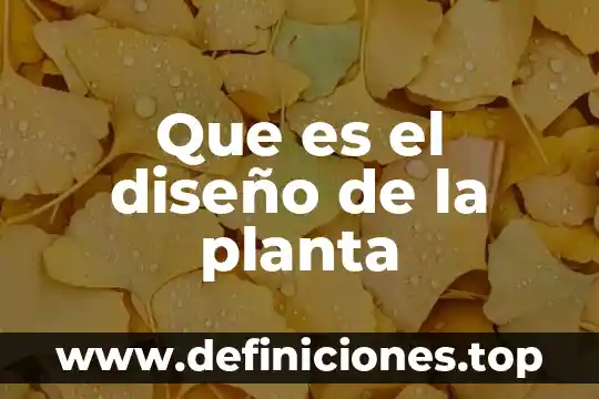 Que es el diseño de la planta