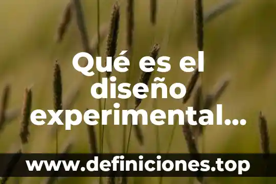 Qué es un gestor de proyectos 5 Qué es el diseño experimental de un gestor de proyectos