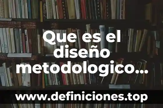 Que es el diseño metodologico preliminar
