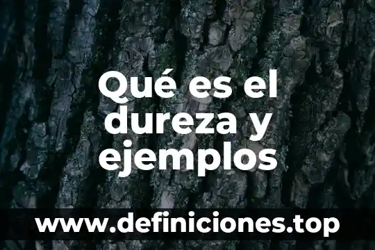 Qué es la duda en filosofía ejemplos 7 Qué es el dureza y ejemplos