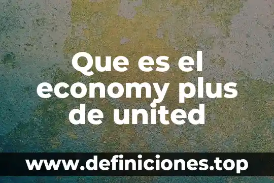 Que es el seguro libra plus de banamex 4 Que es el economy plus de united