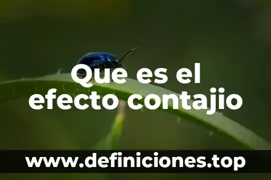 El efecto Coriolis 3 Que es el efecto contajio