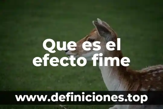 El efecto Coriolis 6 Que es el efecto fime