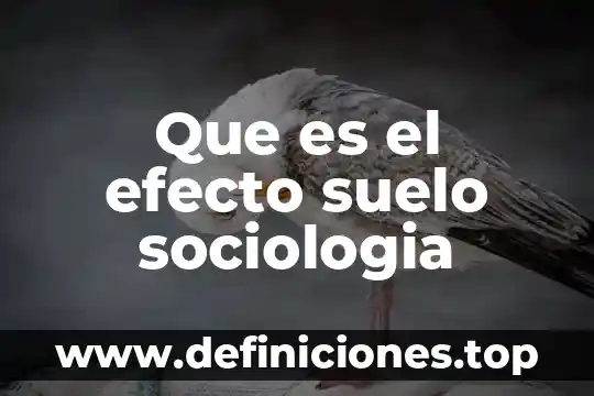 Qué es el efecto montaña 3 Que es el efecto suelo sociologia