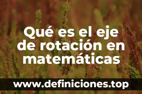 Por qué es importante la comprobación en las matemáticas 6 Qué es el eje de rotación en matemáticas