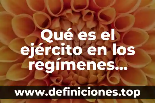 Que es parientes politicos 3 Qué es el ejército en los regímenes políticos actuales