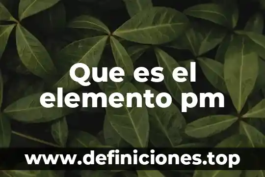 Que es un elemento químico excoba 8 Que es el elemento pm